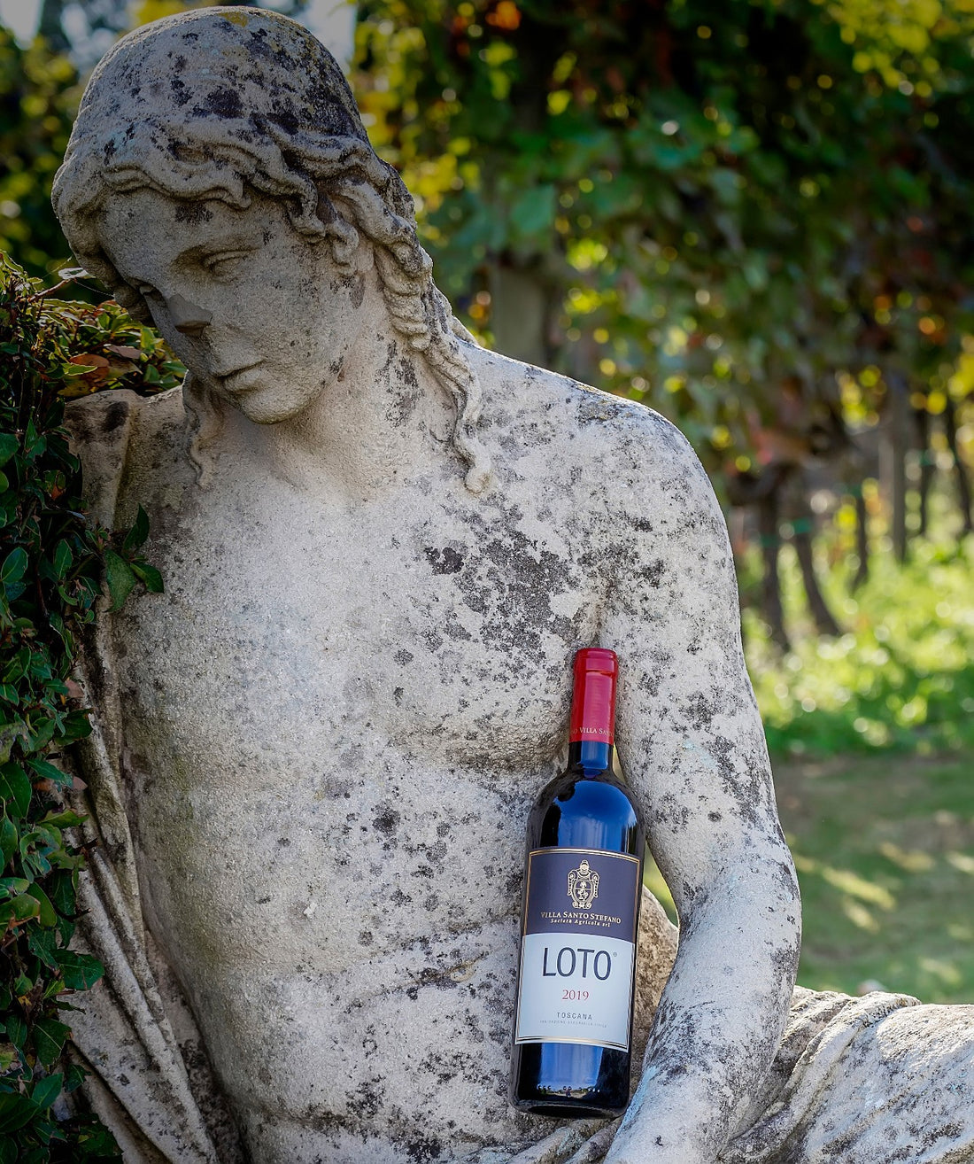 Der Oktober/November im Weingut  Villa Santo Stefano ist dreierlei!